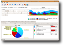 Screenshot showing top used tables